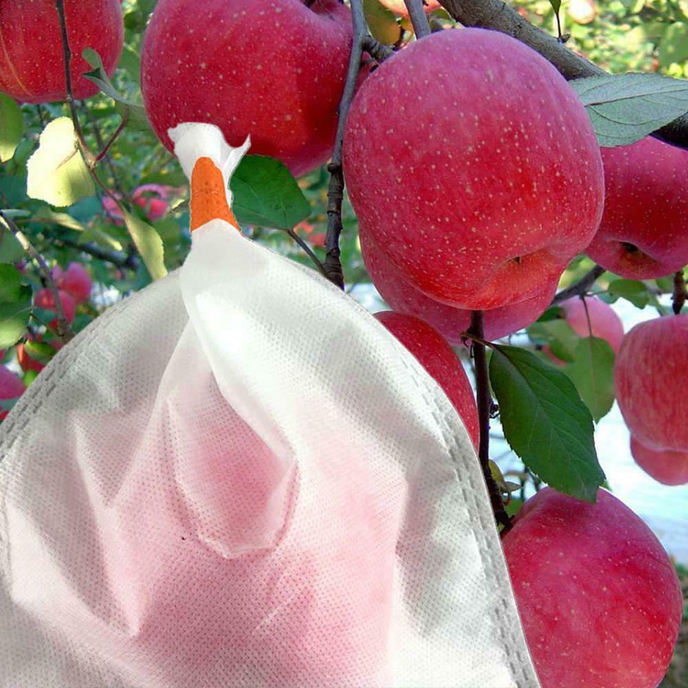 水果套袋專用PP無(wú)紡布，水果套袋專用PP無(wú)紡布的優(yōu)勢(shì)，水果套袋專用PP無(wú)紡布的好處，采購(gòu)水果套袋專用PP無(wú)紡布 